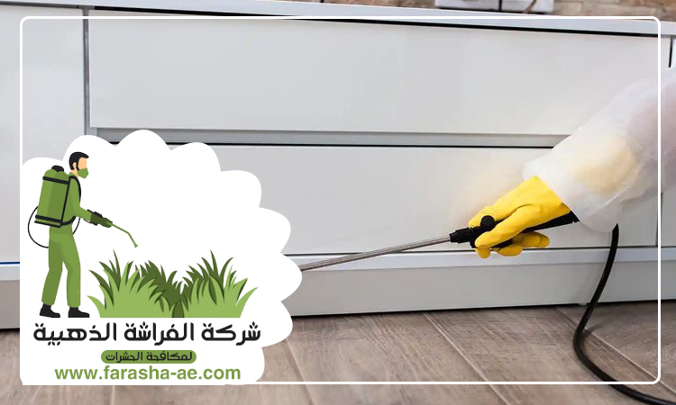 شركة مكافحة الرمة في مرقب 3 شركة مكافحة الرمة في مرقب