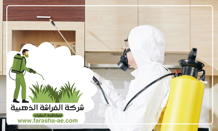 شركة مكافحة حشرات في رول ضدنا 3 شركة مكافحة حشرات في رول ضدنا