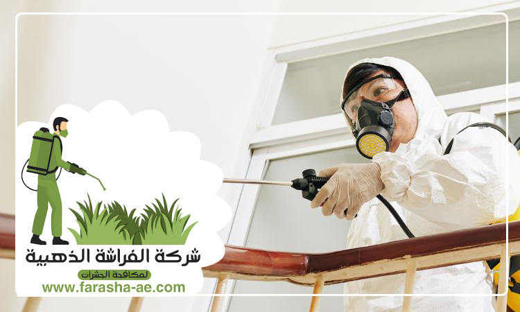 شركة مكافحة حشرات في رول ضدنا 2 شركة مكافحة حشرات في رول ضدنا