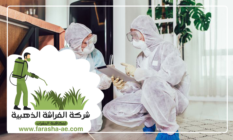 شركة مكافحة حشرات في العقة 5 شركة مكافحة حشرات في العقة