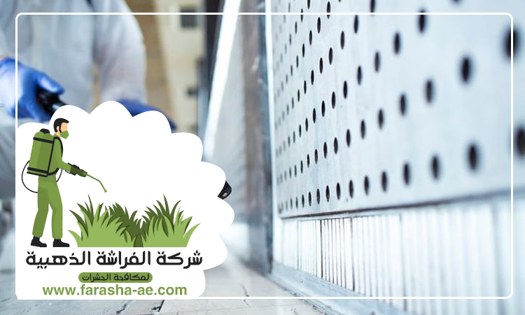 شركة مكافحة حشرات في العقة 3 شركة مكافحة حشرات في العقة