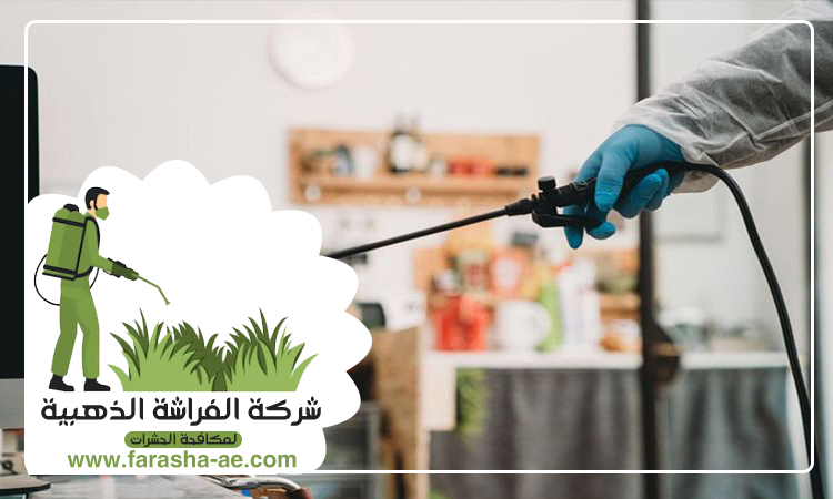 شركة مكافحة حشرات في الحيل 5 شركة مكافحة حشرات في الحيل