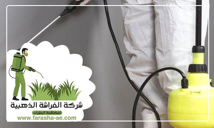 شركة مكافحة حشرات في الحيل 4 شركة مكافحة حشرات في الحيل