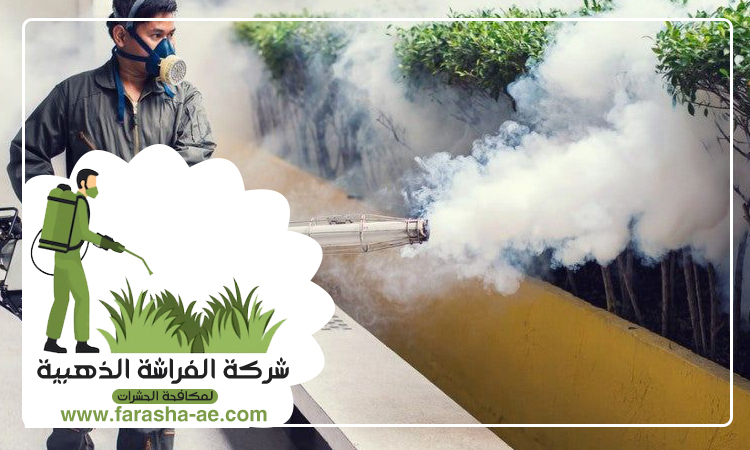 شركة مكافحة حشرات في الحيل