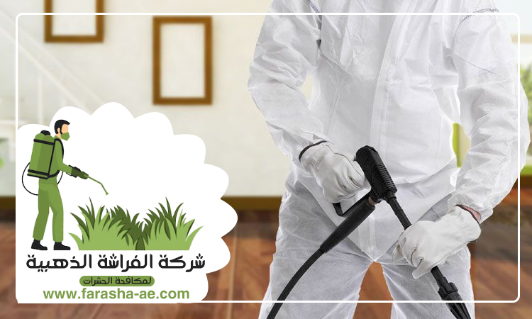 شركة مكافحة حشرات في الطويين 4 شركة مكافحة حشرات في الطويين