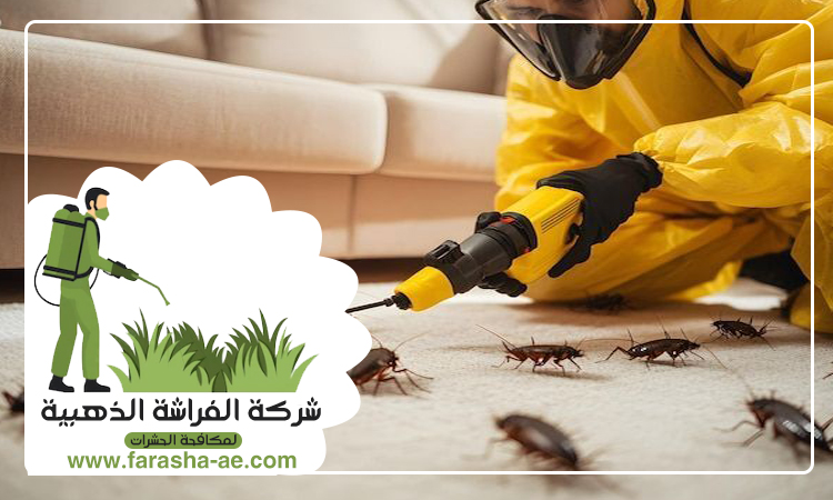 شركة مكافحة حشرات في مردف 3 شركة مكافحة حشرات في مردف