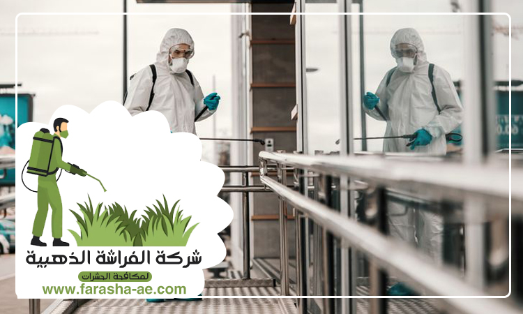 شركة مكافحة الثعابين في البحيرات 5 شركة مكافحة الثعابين في البحيرات