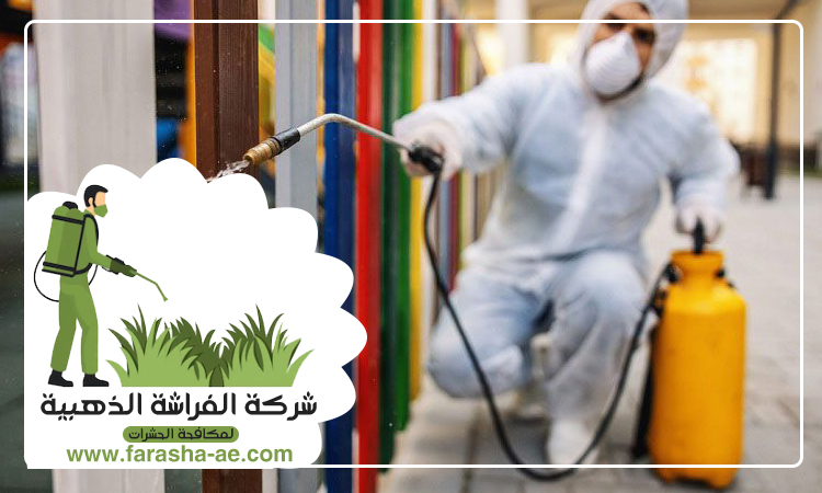 شركة مكافحة حشرات في مردف 4 شركة مكافحة حشرات في مردف