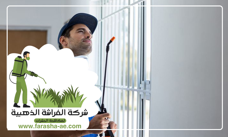 شركة مكافحة حشرات في مردف 5 شركة مكافحة حشرات في مردف