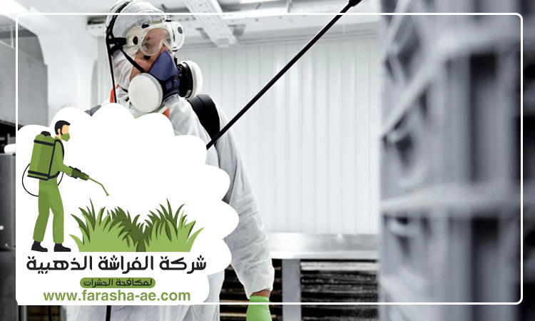 شركة مكافحة حشرات في البرشاء 3 شركة مكافحة حشرات في البرشاء