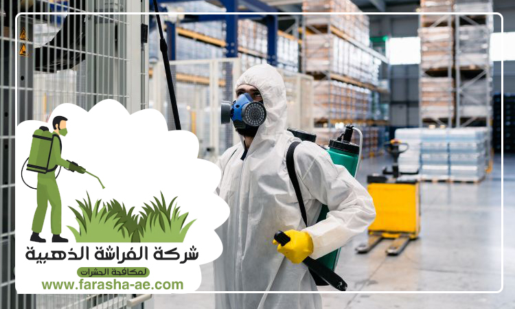 شركة مكافحة حشرات في البرشاء 4 شركة مكافحة حشرات في البرشاء