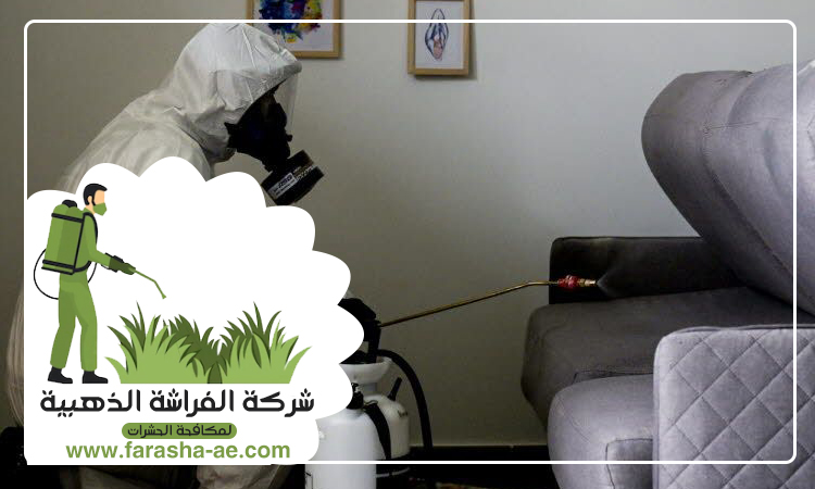 شركة مكافحة الثعابين في السيوح 3 شركة مكافحة الثعابين في السيوح