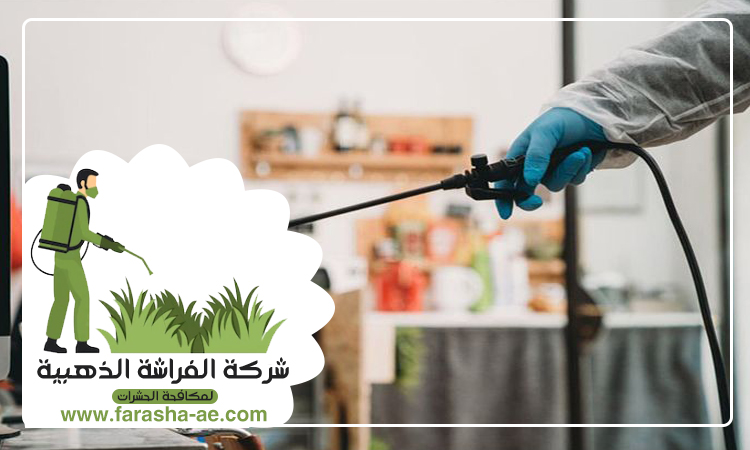 شركة مكافحة الثعابين في أم سقيم 5 شركة مكافحة الثعابين في أم سقيم