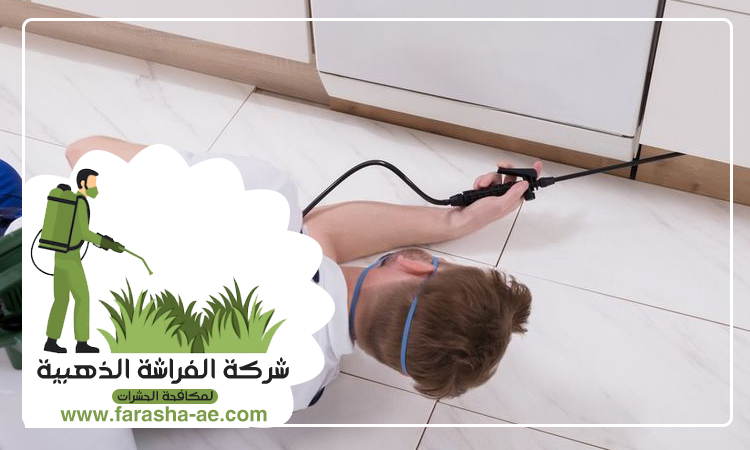 شركة مكافحة الثعابين في أم سقيم 4 شركة مكافحة الثعابين في أم سقيم