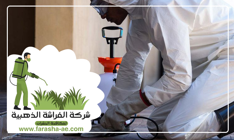 شركة مكافحة الرمة في العزرة 5 شركة مكافحة الرمة في العزرة