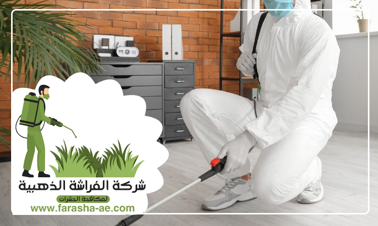 شركة مكافحة الرمة في العزرة 4 شركة مكافحة الرمة في العزرة
