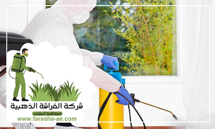 شركة مكافحة الرمة في الجزات 5 شركة مكافحة الرمة في الجزات