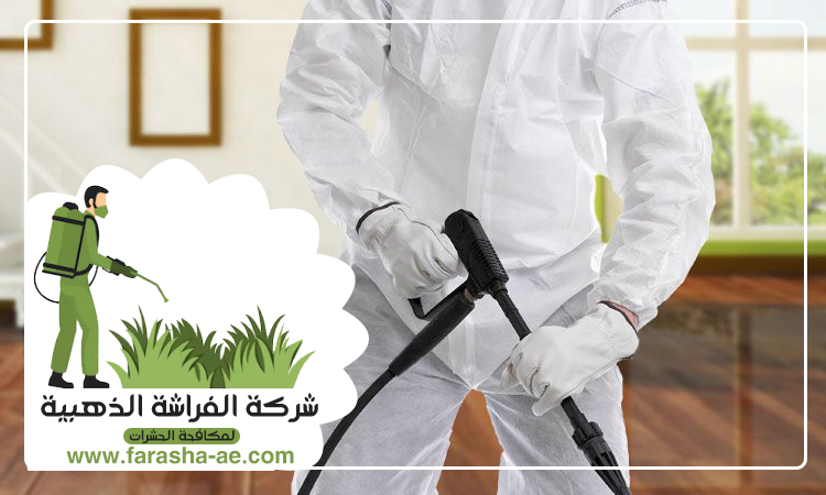 شركة مكافحة الرمة في الجزات 4 شركة مكافحة الرمة في الجزات