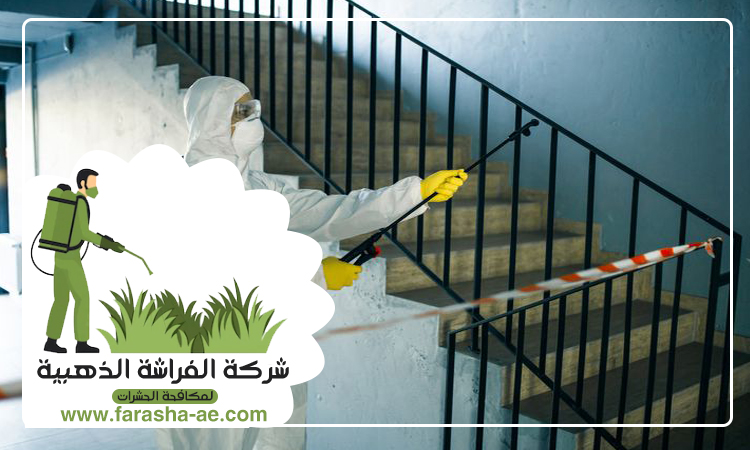 شركة مكافحة الرمة في الجزات 3 شركة مكافحة الرمة في الجزات