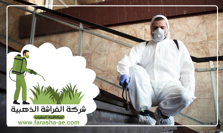 شركة مكافحة الرمة في مرقب 5 شركة مكافحة الرمة في مرقب