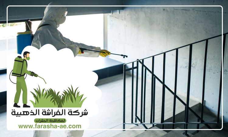 شركة مكافحة الثعابين في السيوح 4 شركة مكافحة الثعابين في السيوح