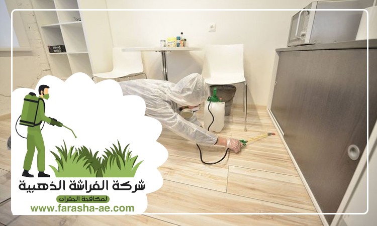 شركة مكافحة بق الفراش في أم سقيم 5 شركة مكافحة بق الفراش في أم سقيم