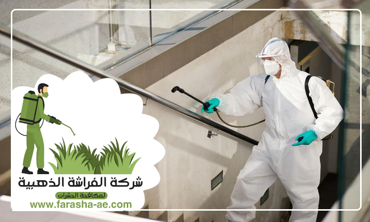 شركة مكافحة الرمة في مرقب 4 شركة مكافحة الرمة في مرقب