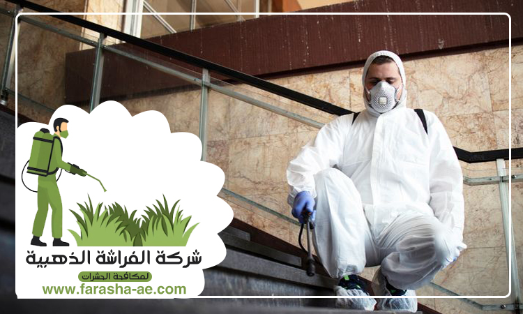 شركة مكافحة الثعابين في السيوح 5 شركة مكافحة الثعابين في السيوح