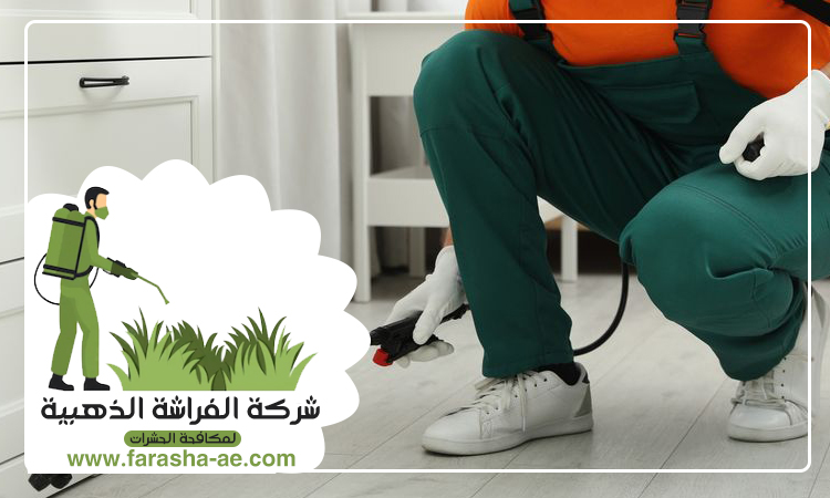 شركة مكافحة الثعابين في البدع 3 شركة مكافحة الثعابين في البدع