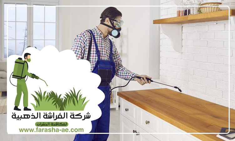 شركة مكافحة حشرات في البرشاء 5 شركة مكافحة حشرات في البرشاء