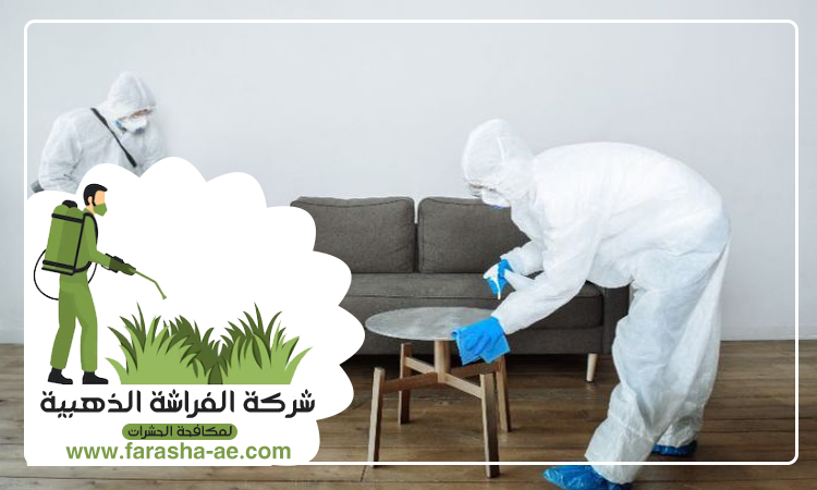 شركة مكافحة حشرات في مرغم 4 شركة مكافحة حشرات في مرغم