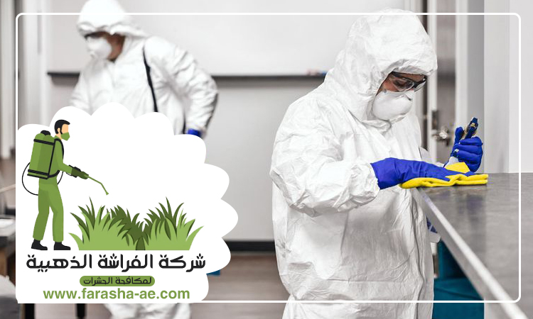 شركة مكافحة حشرات بالقوز الشارقة 3 شركة مكافحة حشرات بالقوز الشارقة