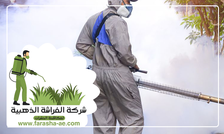 شركة مكافحة حشرات في احفرة