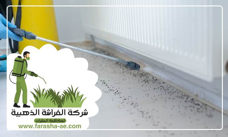 شركة مكافحة حشرات في القرية 5 شركة مكافحة حشرات في القرية
