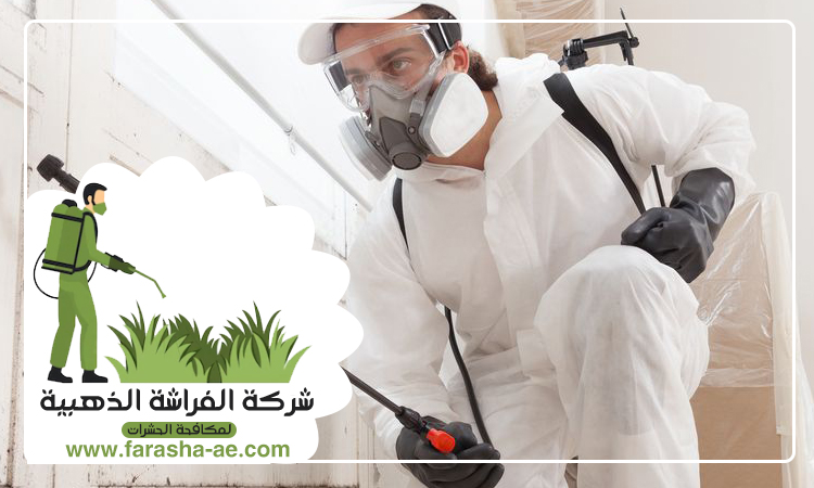 شركة مكافحة حشرات في القرية 4 شركة مكافحة حشرات في القرية