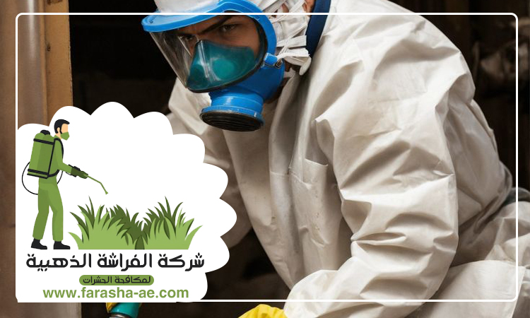 شركة مكافحة حشرات في القرية 3 شركة مكافحة حشرات في القرية