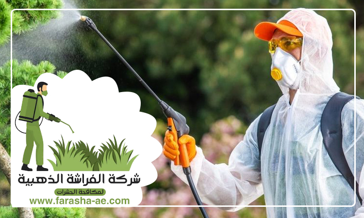 شركة مكافحة حشرات في القرية 2 شركة مكافحة حشرات في القرية