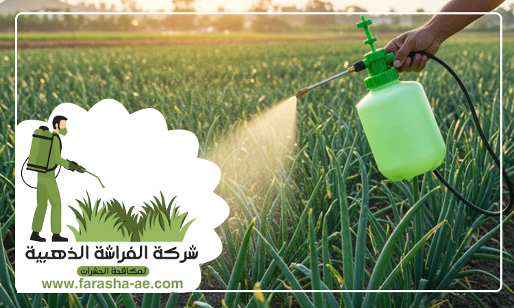 شركة مكافحة حشرات في البدية 5 شركة مكافحة حشرات في البدية