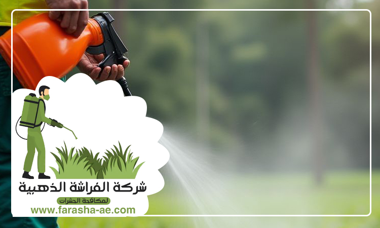 شركة مكافحة حشرات في البدية