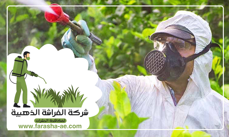 شركة مكافحة حشرات في الورقاء 5 شركة مكافحة حشرات في الورقاء