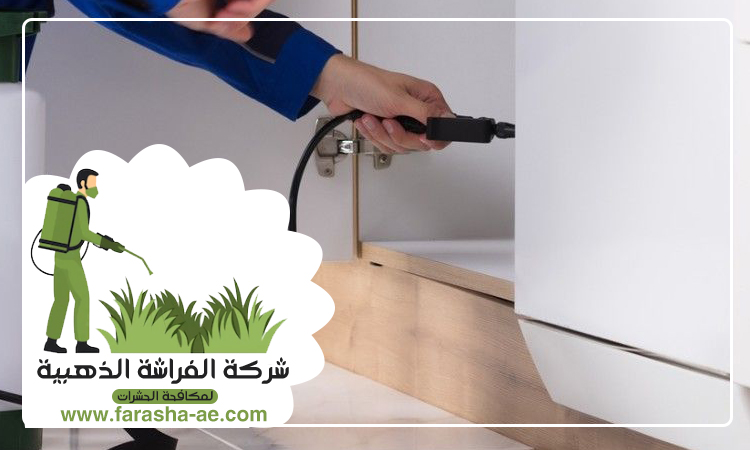 شركة مكافحة الثعابين في خورفكان 3 شركة مكافحة الثعابين في خورفكان