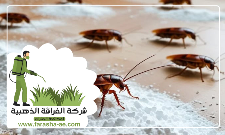 شركة مكافحة حشرات في الورقاء 4 شركة مكافحة حشرات في الورقاء