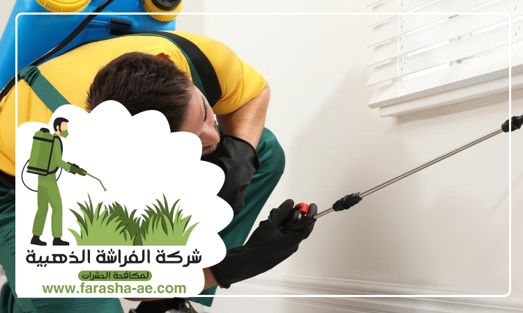 شركة مكافحة حشرات في الورقاء