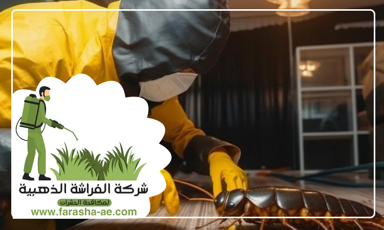 شركة مكافحة حشرات في الخوانيج 4 شركة مكافحة حشرات في الخوانيج