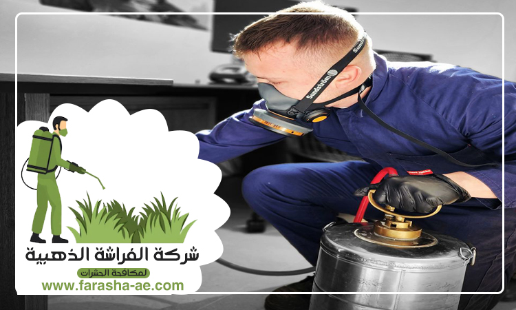 شركة مكافحة حشرات في الخوانيج 3 شركة مكافحة حشرات في الخوانيج
