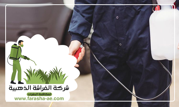 شركة مكافحة حشرات في الخوانيج 2 شركة مكافحة حشرات في الخوانيج