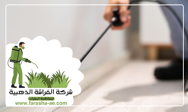 شركة مكافحة حشرات في القوز 5 شركة مكافحة حشرات في القوز