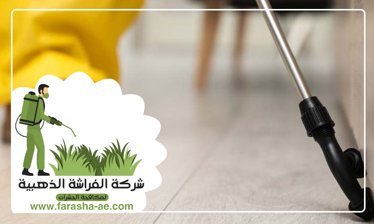 شركة مكافحة حشرات في القوز 4 شركة مكافحة حشرات في القوز
