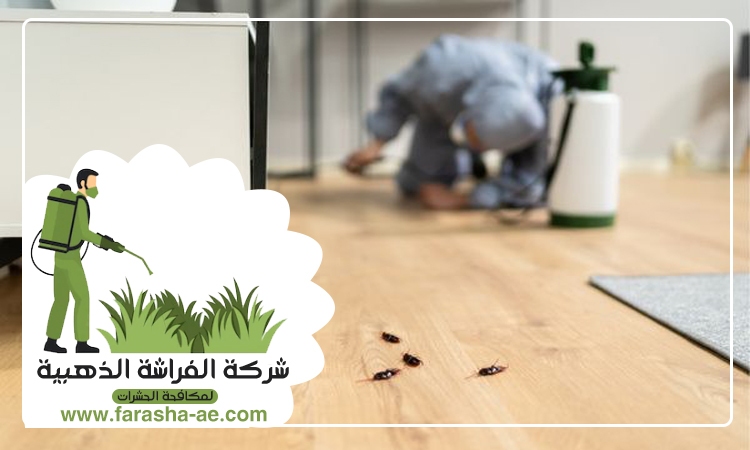 شركة مكافحة حشرات في القوز 3 شركة مكافحة حشرات في القوز