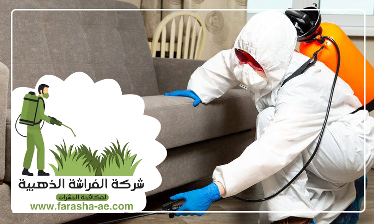 شركة مكافحة الثعابين في خورفكان 4 شركة مكافحة الثعابين في خورفكان